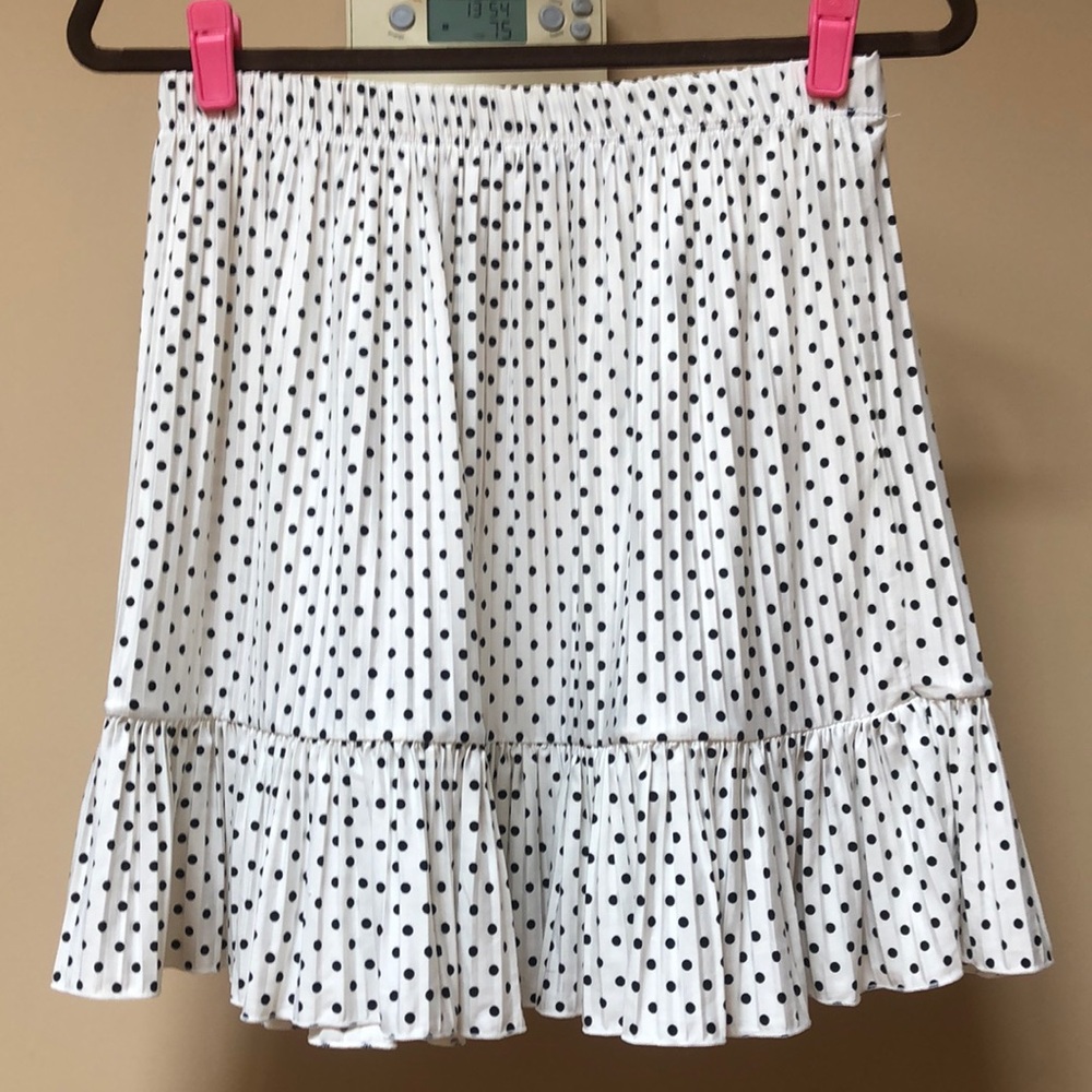 Zara Polka Dot Skirt